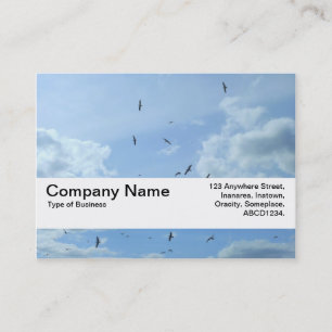 Texture Band V2 - Sky and Seagulls Business Card