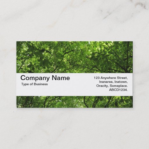 Customizable Texture Band V2 - Woodland Canopy Business Card Templates