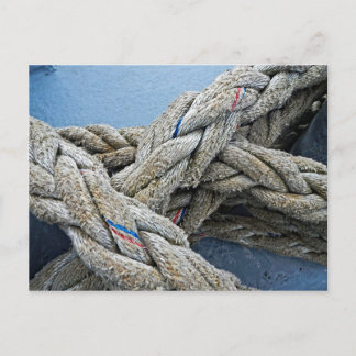 Texture: Rope III Postcard