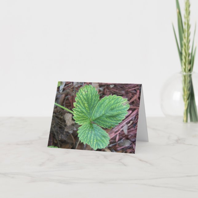 Texture strawberry leaves card (Front)
