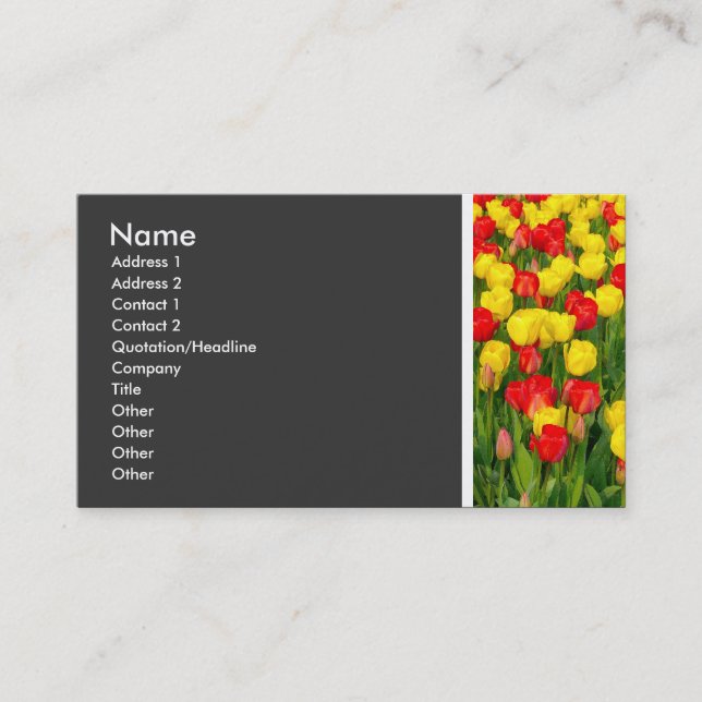Texture Tone (Colorful Tulips) Business Card (Front)