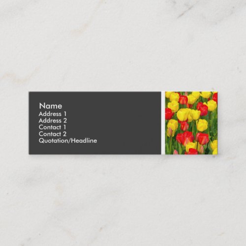 Texture Tone _ Colorful Tulips Mini Business Card