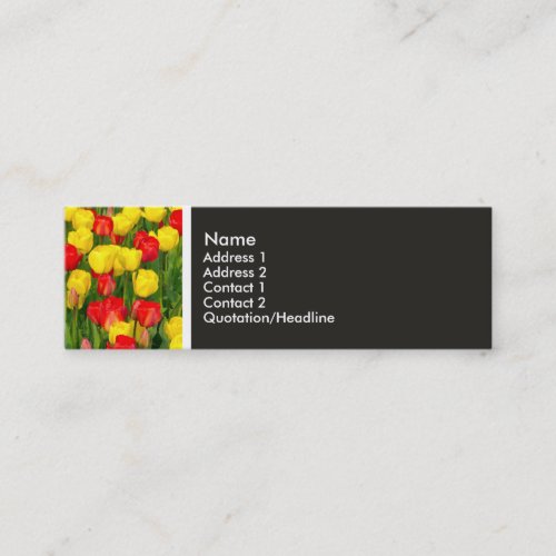 Texture Tone _ Colorful Tulips Mini Business Card