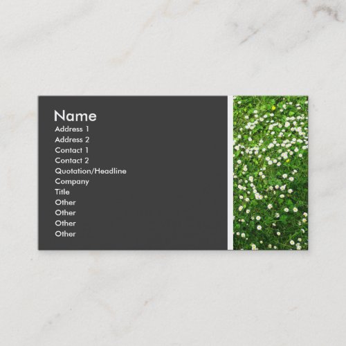 Texture Tone Daisy Lawn II Business Card