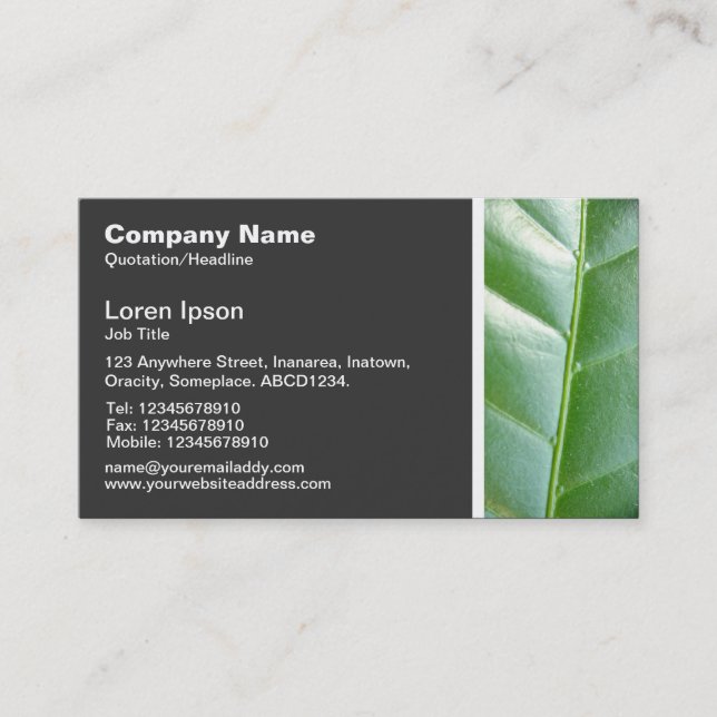 Texture Tone - Leaf Business Card (Front)