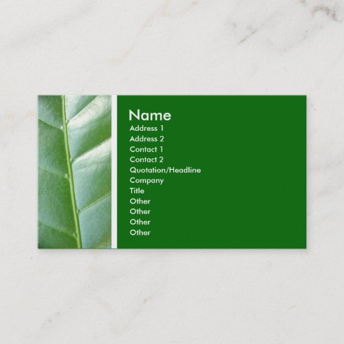 Texture Tone Maartent leaf Business Card
