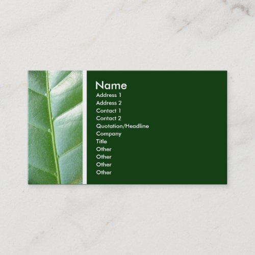 Texture Tone Maartent leaf _ Customized Business Card