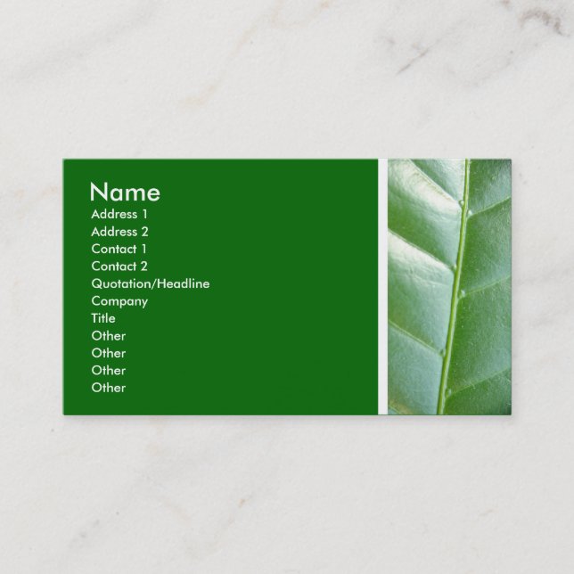 Texture Tone (Maartent leaf) II Business Card (Front)
