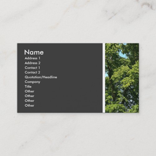 Texture Tone Trees Business Card