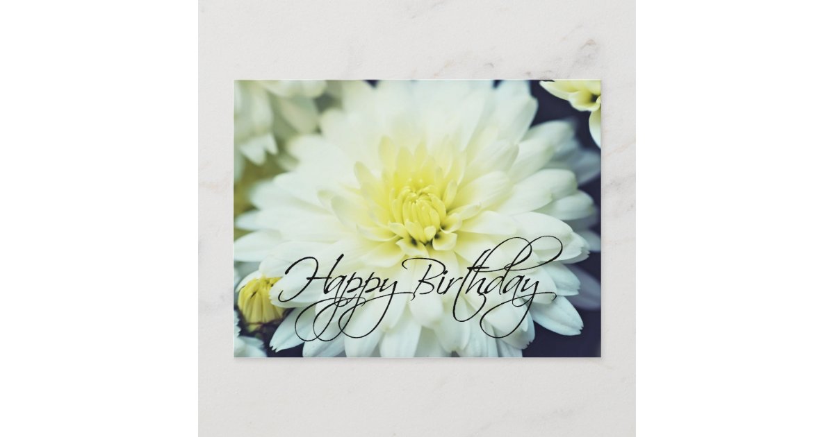 Textured Chrysanthemum Happy Birthday Postcard | Zazzle