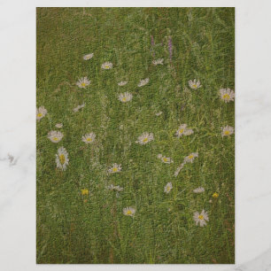 Textured Field Of Daisies Floral Scrapbook Paper
