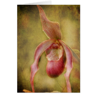 Textured Lady Slipper Orchid Cards