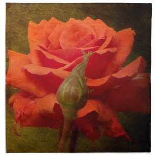 Textured Peach Colored Roses Napkins