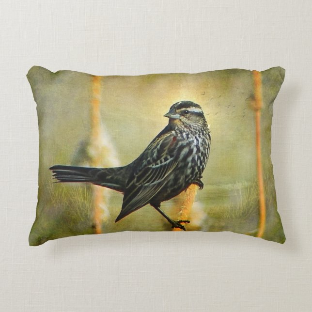 Textured Red-wing Blackbird Outdoor Accent Pillow (Front)