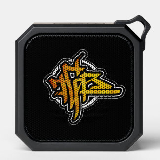 TGR BLUETOOTH SPEAKER 