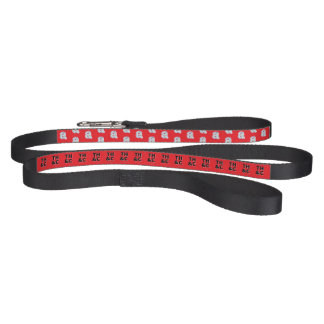 thaddeus & crimson, Adam Moyer, Addi Nicki Pet Leash