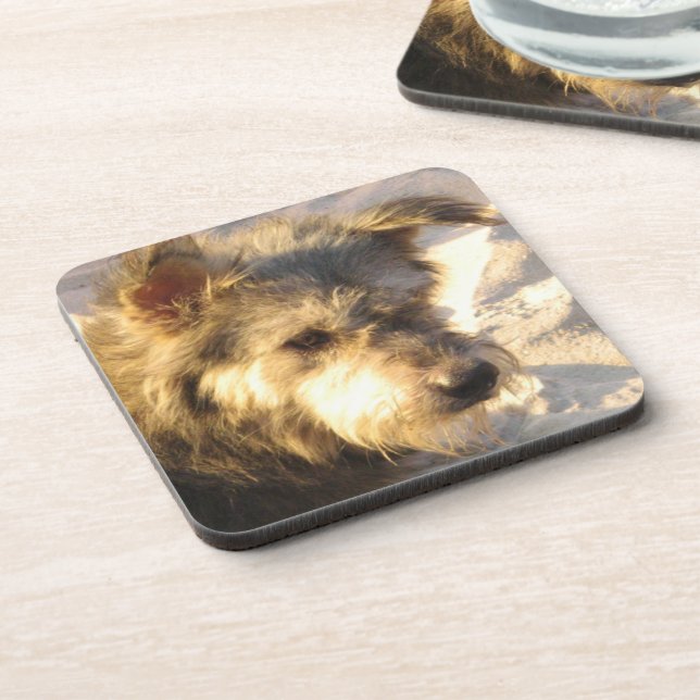 Thai Beach Dog Beverage Coaster (Left Side)