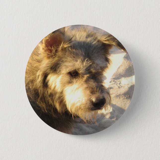 Thai Beach Dog Button (Front)
