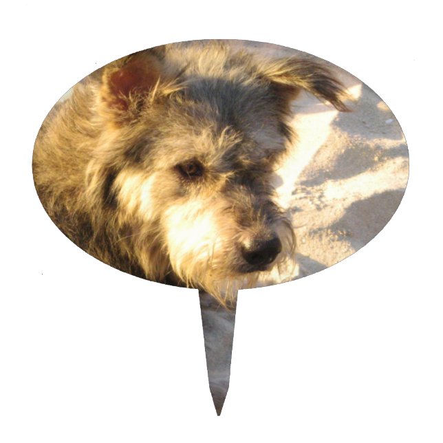 Thai Beach Dog Cake Topper (Front)