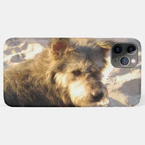 Thai Beach Dog iPhone 11 Pro Max Case