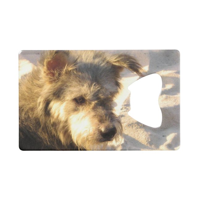 Thai Beach Dog Credit Card Bottle Opener (Front (Horizontal))