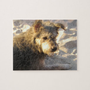 Thai Beach Dog Jigsaw Puzzle