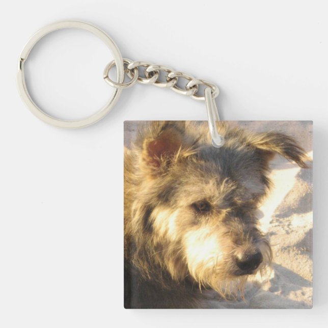 Thai Beach Dog Keychain (Front)