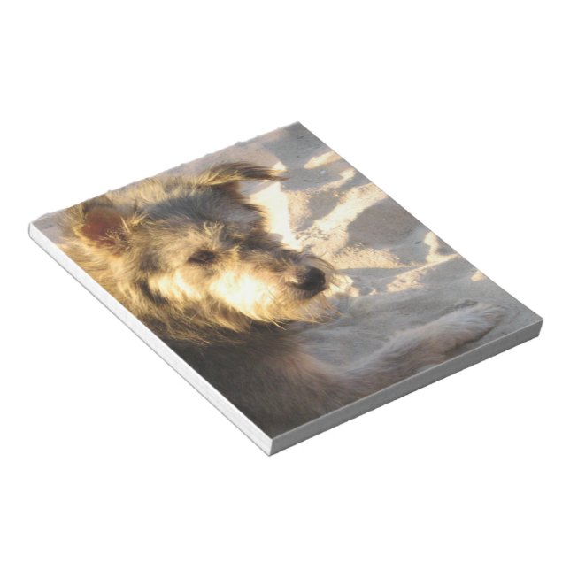 Thai Beach Dog Notepad (Angled)