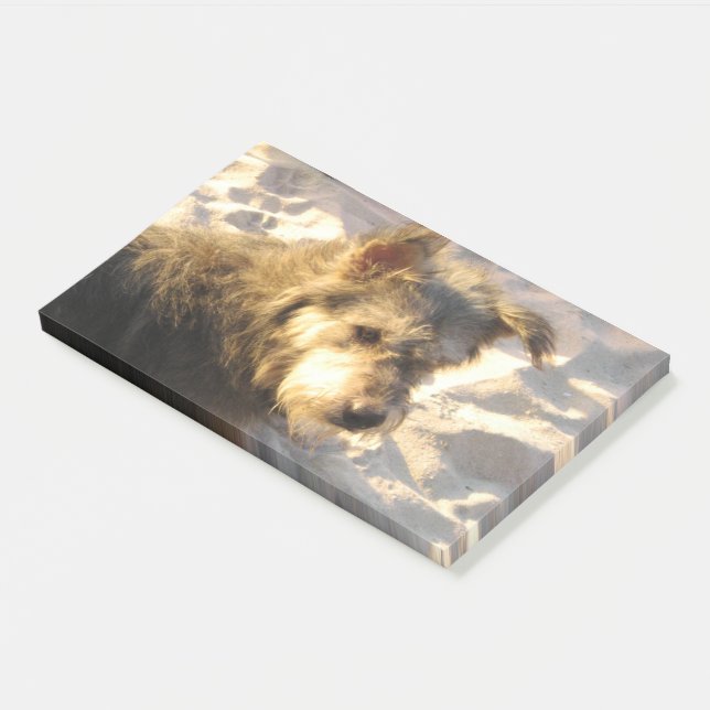 Thai Beach Dog Post-it Notes (Angled)