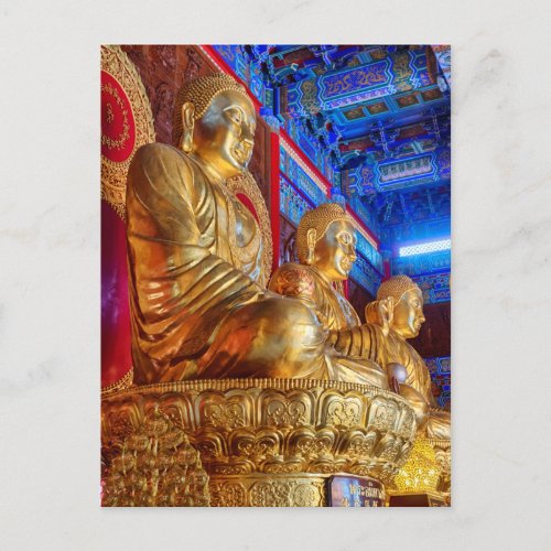 Thai China Buddha Image statue Postcard