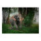 Thai Elephant