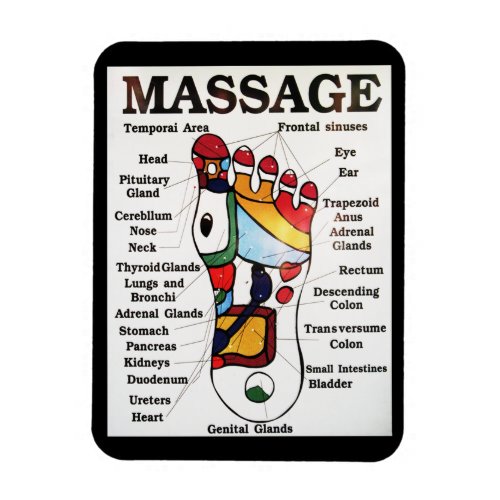 Thai Foot Massage  Reflexology map Magnet