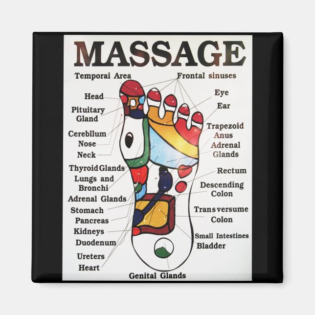 Thai Foot Massage ~ Reflexology map Magnet (Front)