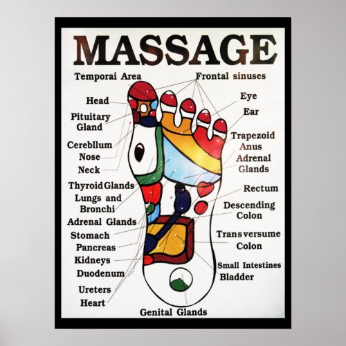 Thai Foot Massage  Reflexology map Poster