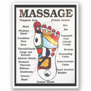 Thai Foot Massage ~ Reflexology map Sticker