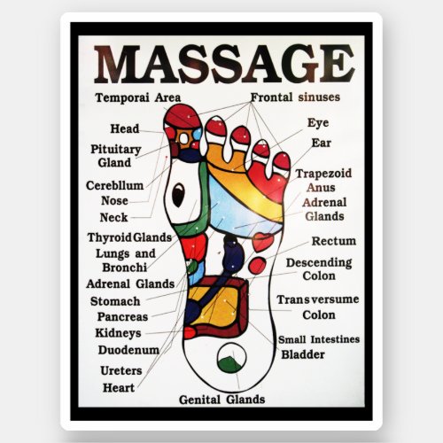 Thai Foot Massage  Reflexology map Sticker