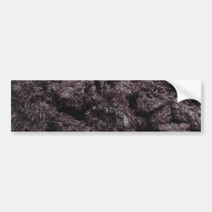 Thai Lao Black Sticky Rice [Khao Niao Dam] Bumper Sticker