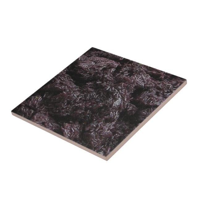 Thai Lao Black Sticky Rice [Khao Niao Dam] Ceramic Tile (Side)