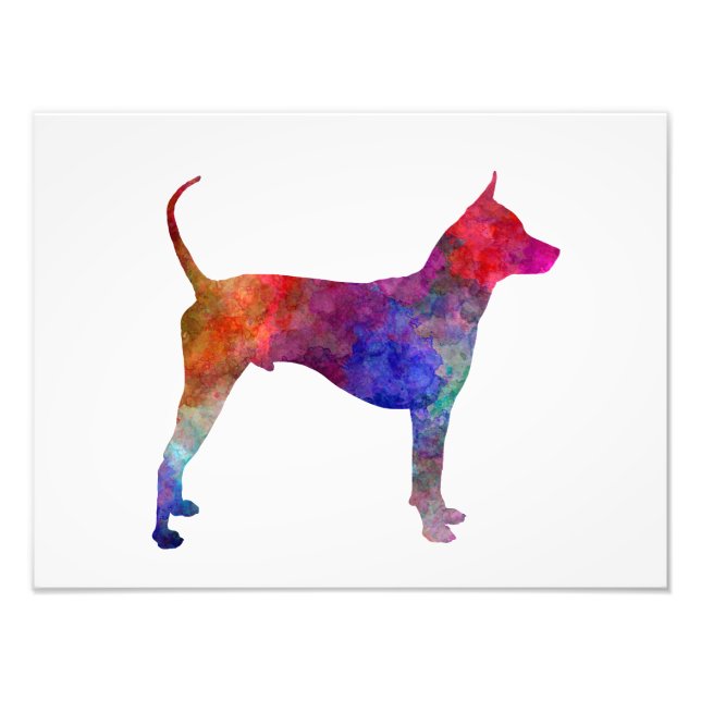 Thai Ridgeback Dog in watercolor Photo Print (Front)