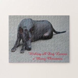 Thai Ridgeback Dogs Jigsaws.  Jigsaw Puzzle