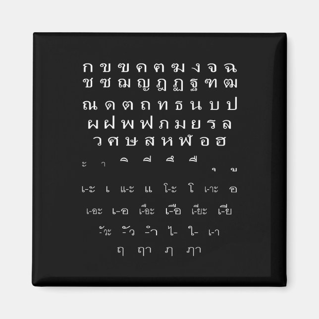 Thai Script Wall Alphabet Vowels Halloween Costume Magnet (Front)