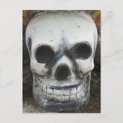 Thai Skull Postcard