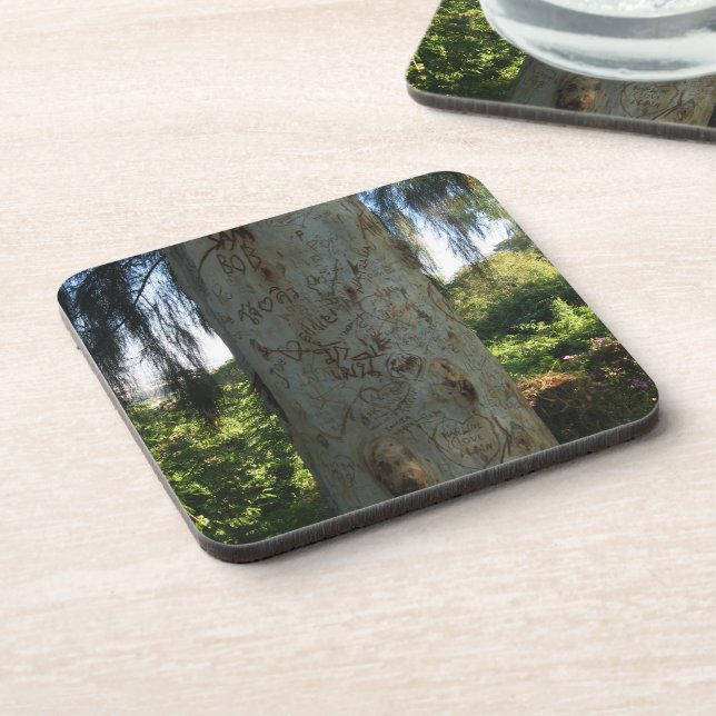 Thai Tree Graffiti Beverage Coaster (Left Side)