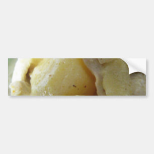 Thai Yellow Curry [แกงกะหรี่] .. Asian Street Food Bumper Sticker