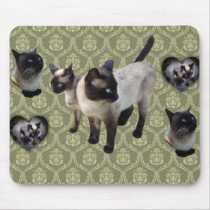 Thailand-born Siamese cat Mouse Pad