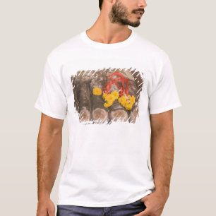 Thailand, Buddha's feet and Marigold offering T-Shirt