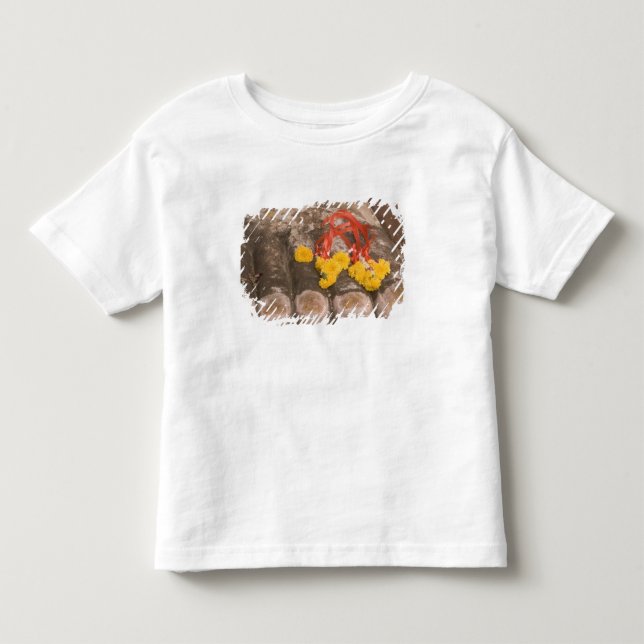 Thailand, Buddha's feet and Marigold offering Toddler T-shirt (Front)
