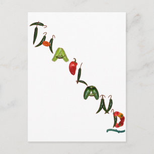 Thailand Chili Peppers Postcard