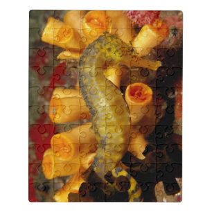 Thailand, Close-Up Seahorse Jigsaw Puzzle