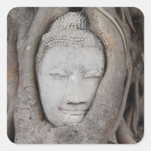 Thailand Head of Buddha surrounded by trees Square Sticker